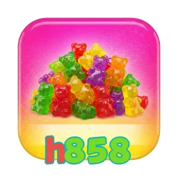 h858